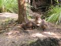 img167.jpeg.small.jpeg