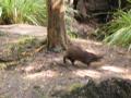 img168.jpeg.small.jpeg