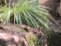 img173.jpeg.small.jpeg