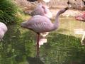 img176.jpeg.small.jpeg