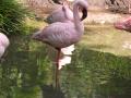 img177.jpeg.small.jpeg