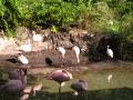 img178.jpeg.small.jpeg