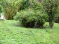 img205.jpeg.small.jpeg