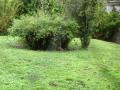 img206.jpeg.small.jpeg