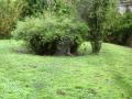 img207.jpeg.small.jpeg