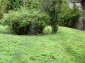 img208.jpeg.small.jpeg