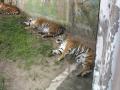 img210.jpeg.small.jpeg
