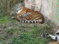 img211.jpeg.small.jpeg
