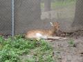 img214.jpeg.small.jpeg