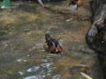 img224.jpeg.small.jpeg