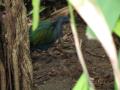 img235.jpeg.small.jpeg