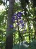 img264.jpeg.small.jpeg
