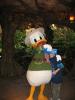 img275.jpeg.small.jpeg