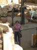img294.jpeg.small.jpeg