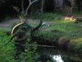 img303.jpeg.small.jpeg