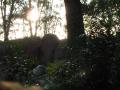 img306.jpeg.small.jpeg