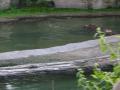 img309.jpeg.small.jpeg