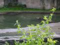 img310.jpeg.small.jpeg