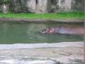 img311.jpeg.small.jpeg