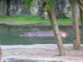 img312.jpeg.small.jpeg
