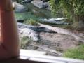 img314.jpeg.small.jpeg