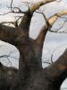 img315.jpeg.small.jpeg