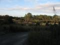 img316.jpeg.small.jpeg