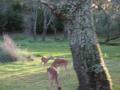 img318.jpeg.small.jpeg