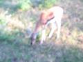 img319.jpeg.small.jpeg