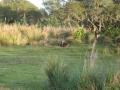 img325.jpeg.small.jpeg