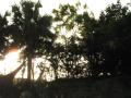 img327.jpeg.small.jpeg