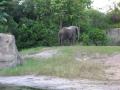 img328.jpeg.small.jpeg