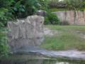 img330.jpeg.small.jpeg
