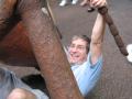 img376.jpeg.small.jpeg
