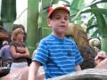 img377.jpeg.small.jpeg