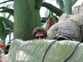 img378.jpeg.small.jpeg
