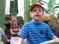 img380.jpeg.small.jpeg