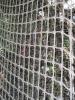 img383.jpeg.small.jpeg