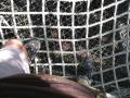 img387.jpeg.small.jpeg