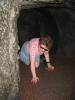 img390.jpeg.small.jpeg
