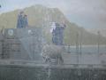 img397.jpeg.small.jpeg