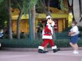 img423.jpeg.small.jpeg
