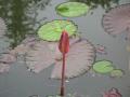img448.jpeg.small.jpeg
