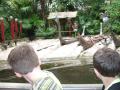img515.jpeg.small.jpeg