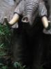 img517.jpeg.small.jpeg