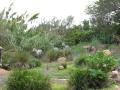 img520.jpeg.small.jpeg