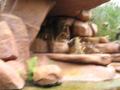 img521.jpeg.small.jpeg