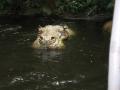 img524.jpeg.small.jpeg