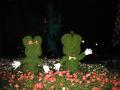 img575.jpeg.small.jpeg