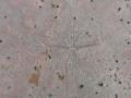img584.jpeg.small.jpeg